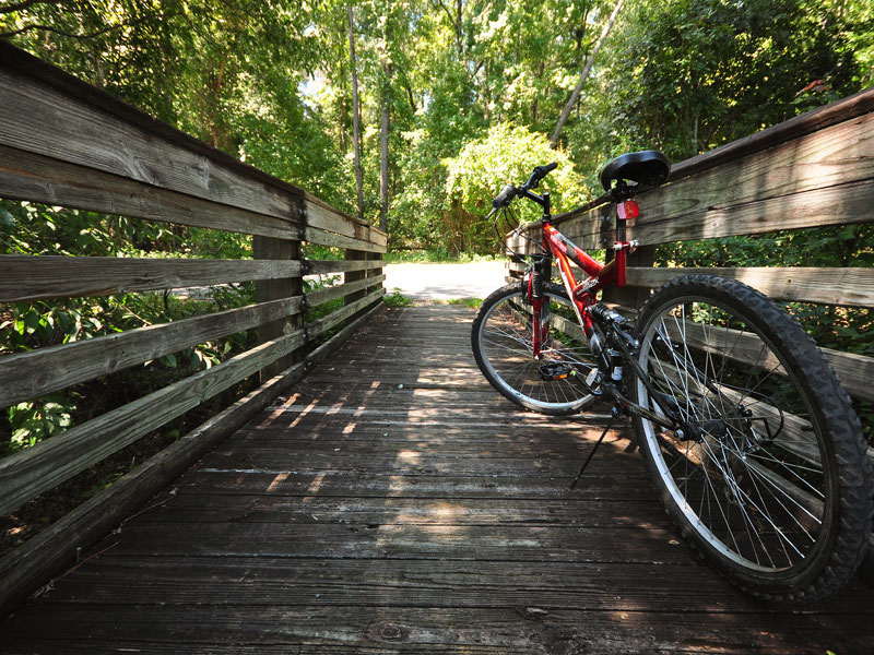 Bring your bikes to the Lodge and enjoy the ride!